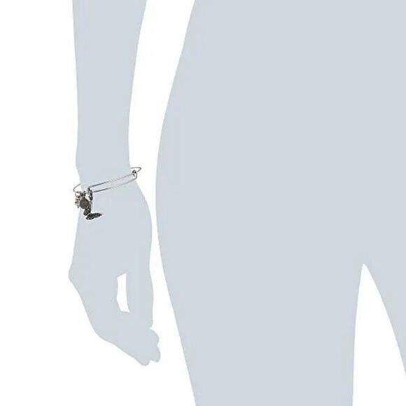 Alex & Ani Butterfly Silver Charm Bangle Bracelet With Charms Rafaelian Silver - Picture 12 of 14